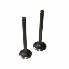 Valve Set Lifan 125 CCM Inlet