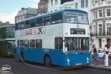 Bus Photo - Brighton