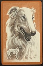 Borzoi Russian Wolfhound Dog