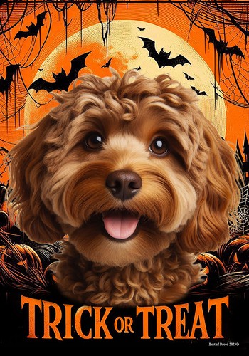 Cockapoo chocolate trick - trick, or