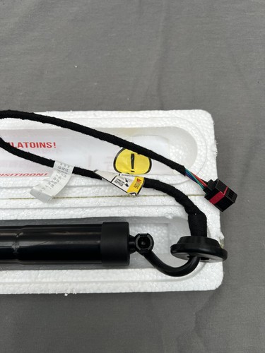 Electric tailgate damper - l/r,