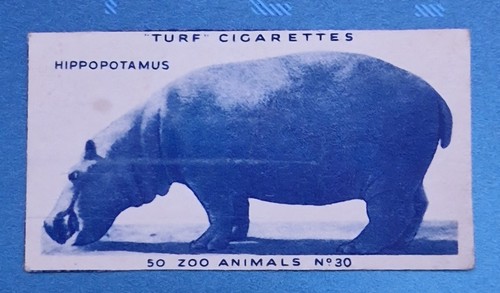 1954 turf cigarettes black - turf,