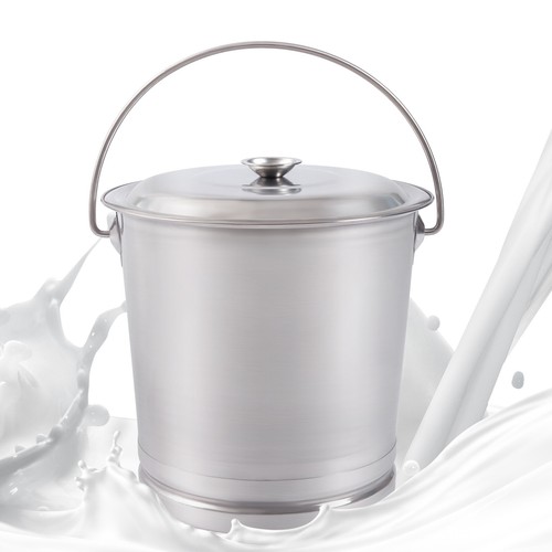 Stainless steel milk pail - stainless,