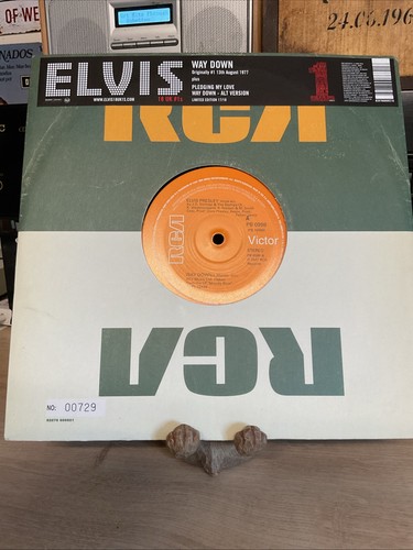 Elvis presley way down 10 - down,