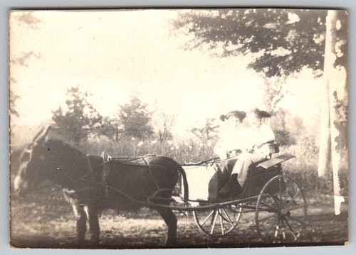 Vtg snapshot two children - vtg, b&w