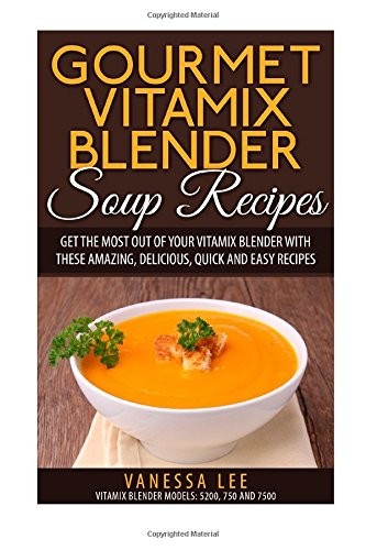 Gourmet vitamix blender - gourmet,