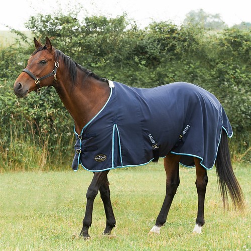Gallop equestrian summer sheet - summer,