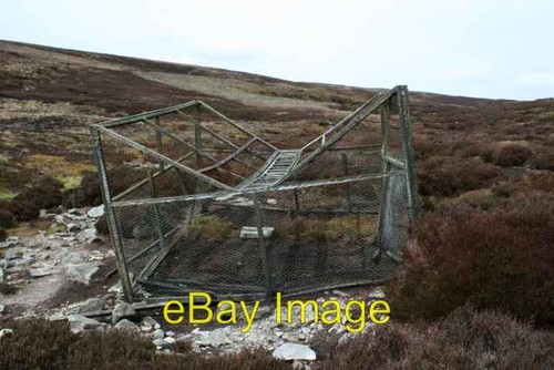 Photo 6x4 larsen trap - photo, on