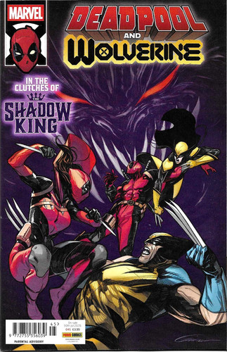 Deadpool and wolverine 45 - deadpool,