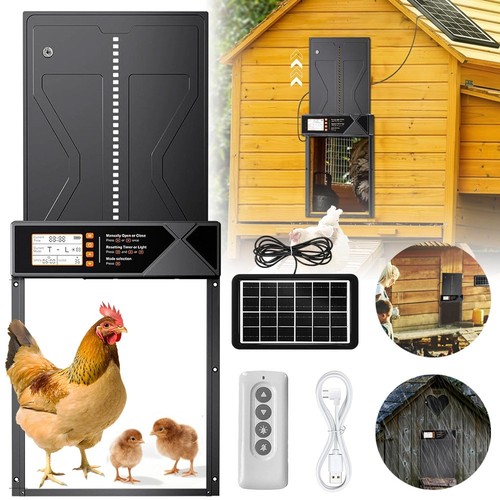 Automatic chicken coop - chicken, door
