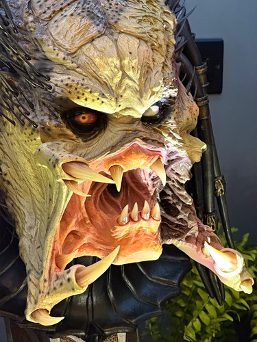 Sideshow collectibles wolf - sideshow,