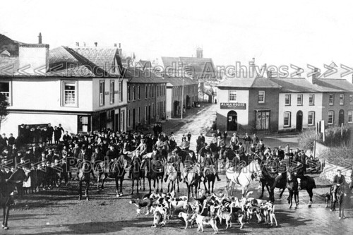 Vyy fox hunting scene - fox,