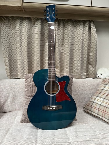 Electro acoustic guitar - electro,