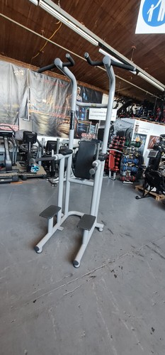 Technogym chin dip leg - up/dip,