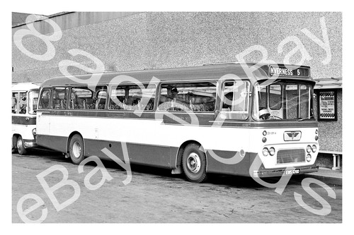 Bus photograph eastern - photograph,