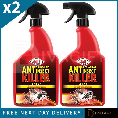 Doff ant crawling insect - crawling,