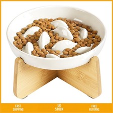 Elevated Ceramic Slow Feeder