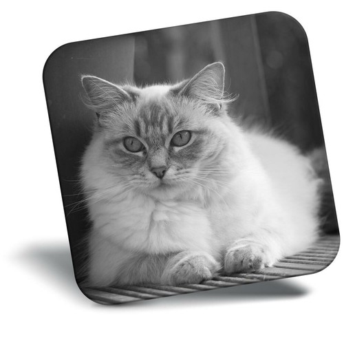 Awesome fridge magnet - magnet,