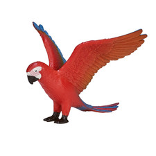 Parrot Macaw Bird pet wild