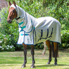 Shires Highlander Plus