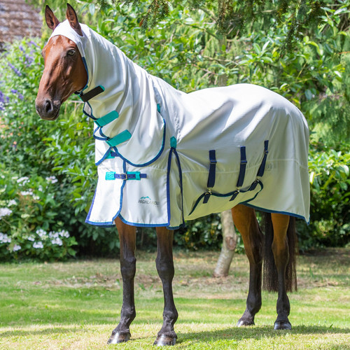 Shires highlander plus - shires,