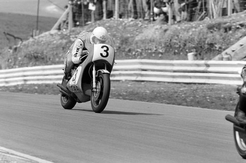Gregg hansford kawasaki - gregg,