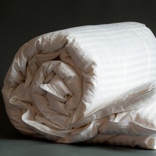 Hungarian Goose Down