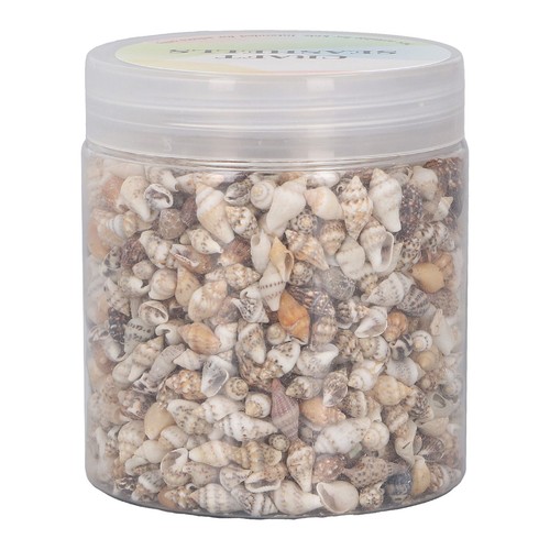 Can tiny sea shells non - shells,