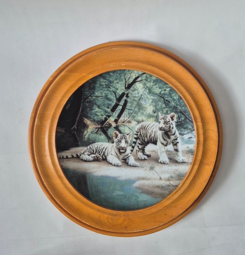 Vintage white tiger cubs - white,