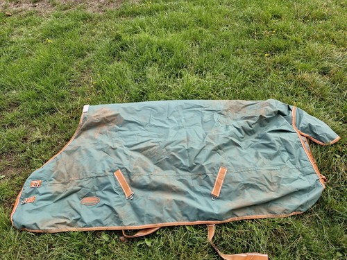 Weatherbeeta medium turnout - weatherbeeta,