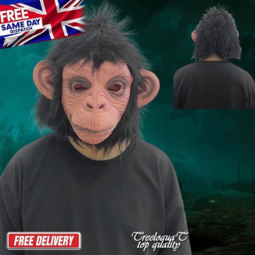 Costume gorilla monkey - gorilla, animal
