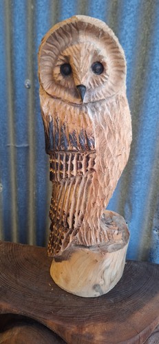 Chainsaw carving owl - chainsaw, home