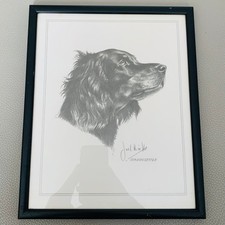 Vintage 1970s Gordon Setter