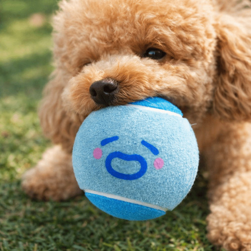 Pieces color blocked pet - color,
