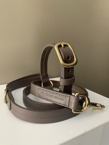 Luxury designer leather dog - designer,