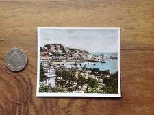 Torquay  Photo Sunripe & Spinet Oval  Cigarette Card .  Free UK P&P