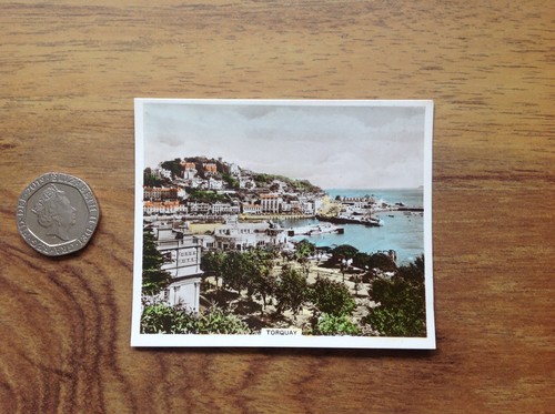Torquay photo sunripe - ,