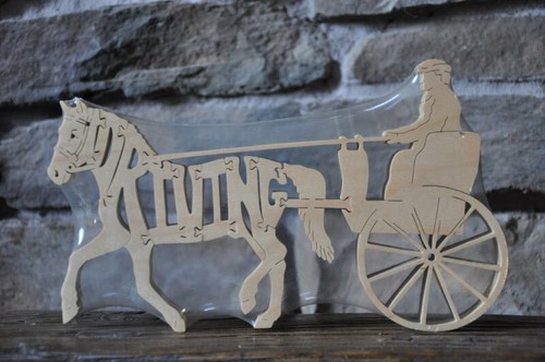 Driving pony cart - driving,