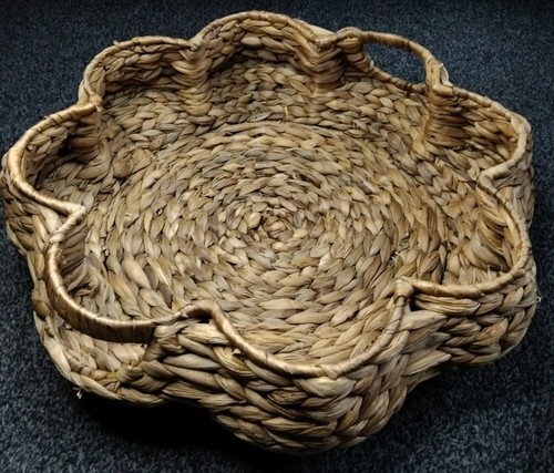 Large water hyacinth - large,