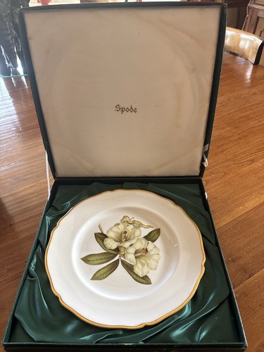 Vintage spode bone china - spode,