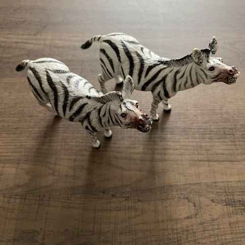 Zebra wild zoo animals play - zebra,