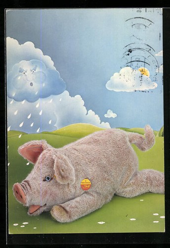 Postcard steiff pig under - postcard,
