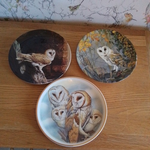 Assorted owls design - assorted,