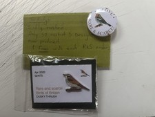 RSPB Interest DUSKY THRUSH