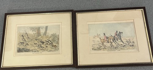 Pair framed fox - pair, hunting