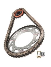 OGNIBENE TRIUMPH DAYTONA 955