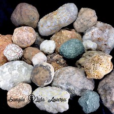 5Lbs Whole GEODES AGATES