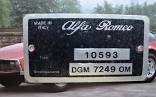 ALFA ROMEO PLATE.TA IGM JUNIOR