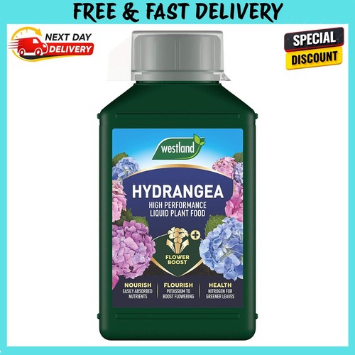 Westland hydrangea high - westland,
