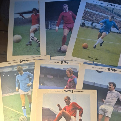 Typhoo football tea cards - typhoo,